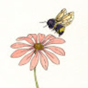 Meet your Posher, Zoe